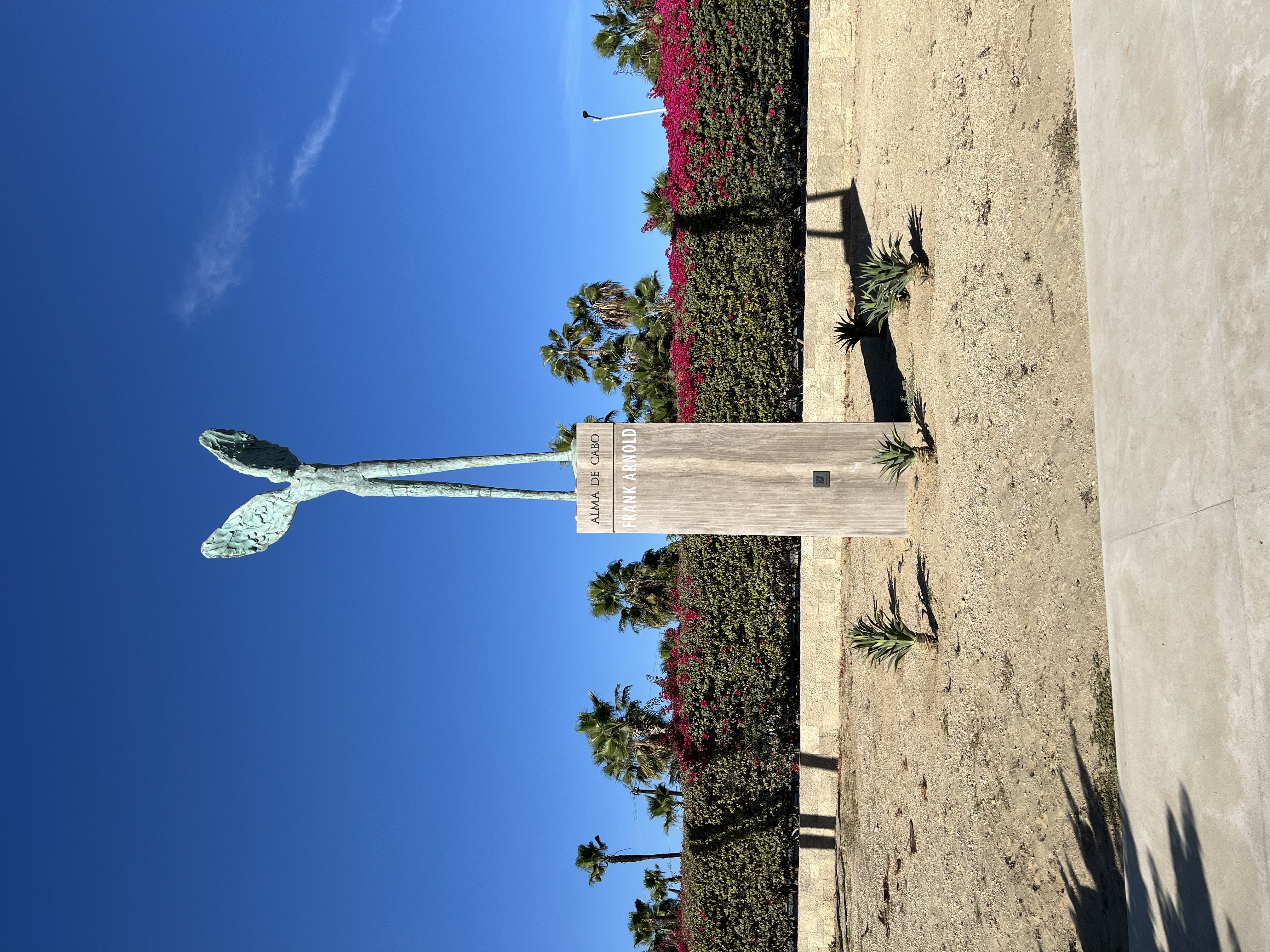 ./2024/13 - Cabo/IMG_4574.jpg